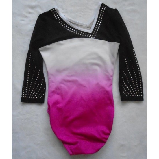 Pretty long sleeved leotard